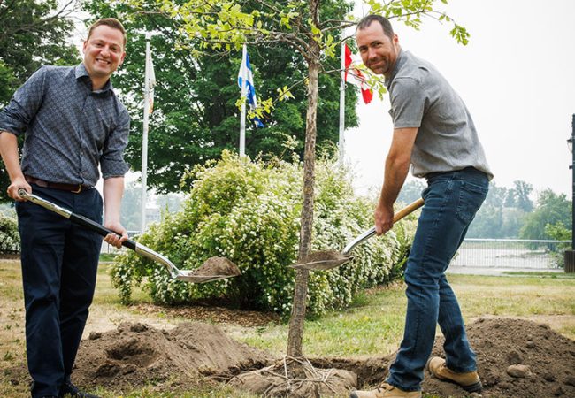 Image décorative : Dévoilement de l'arbre du 350e anniversaire