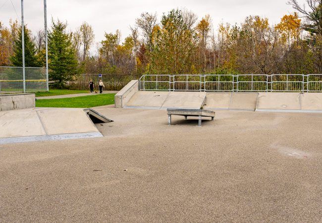 En savoir plus sur le projet Réaménagement du skatepark au parc André-Guérard