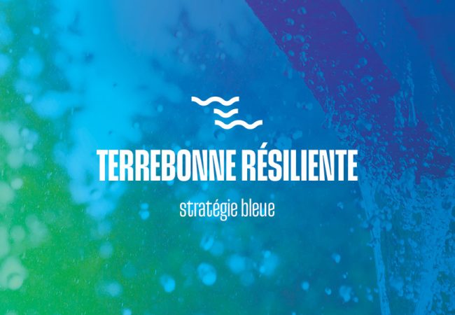 Aller à la page Stratégie bleue