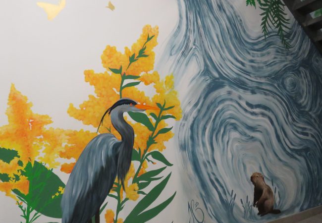 Aller à la page Hymne à la faune terrebonnienne | JUDITH BOILY VALOIS