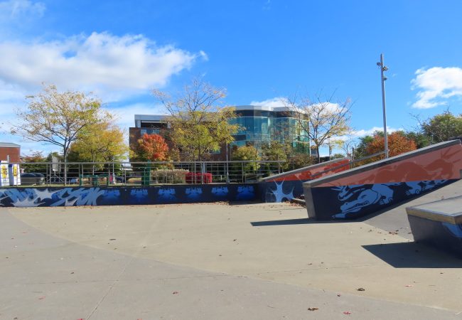 Aller à la page Skate Art | MORT (JEAN-RENÉ DOUVILLE-TESSIER)